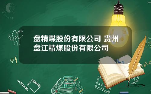 盘精煤股份有限公司 贵州盘江精煤股份有限公司