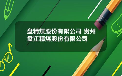 盘精煤股份有限公司 贵州盘江精煤股份有限公司