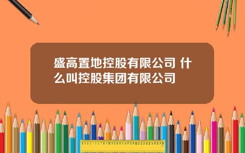 盛高置地控股有限公司 什么叫控股集团有限公司