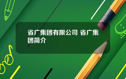省广集团有限公司 省广集团简介