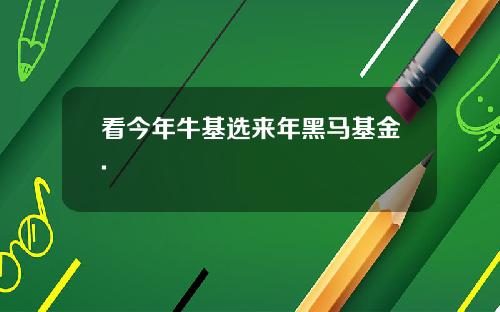 看今年牛基选来年黑马基金.