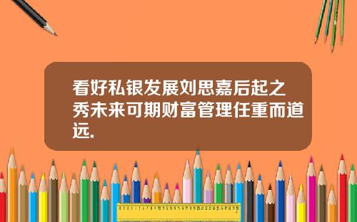 看好私银发展刘思嘉后起之秀未来可期财富管理任重而道远.