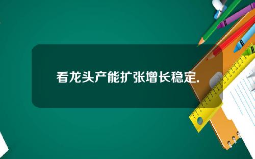 看龙头产能扩张增长稳定.