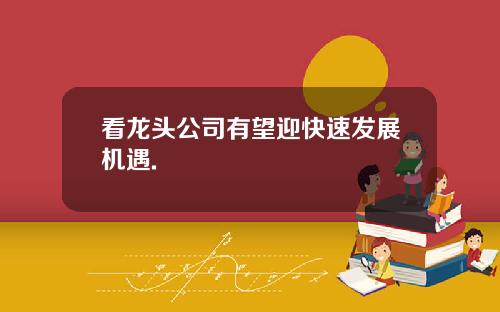看龙头公司有望迎快速发展机遇.
