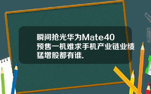 瞬间抢光华为Mate40预售一机难求手机产业链业绩猛增股都有谁.