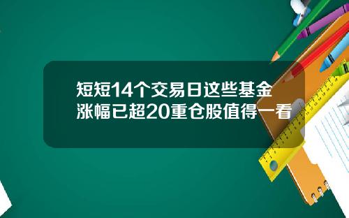 短短14个交易日这些基金涨幅已超20重仓股值得一看