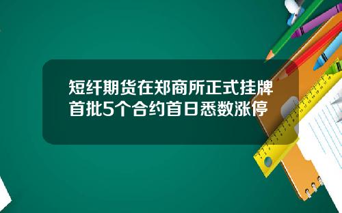 短纤期货在郑商所正式挂牌首批5个合约首日悉数涨停