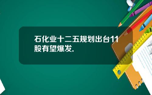 石化业十二五规划出台11股有望爆发.