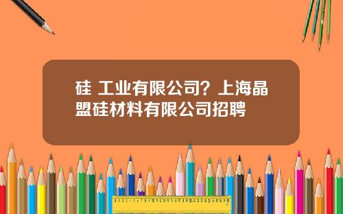 硅 工业有限公司？上海晶盟硅材料有限公司招聘