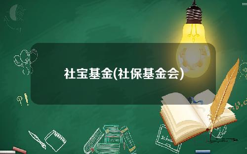 社宝基金(社保基金会)