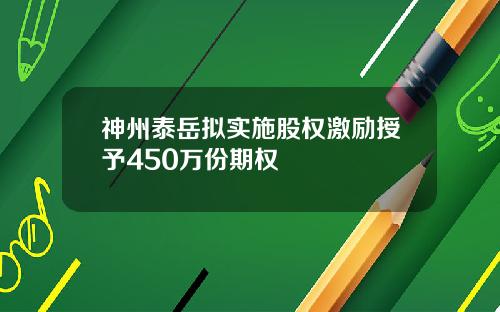 神州泰岳拟实施股权激励授予450万份期权