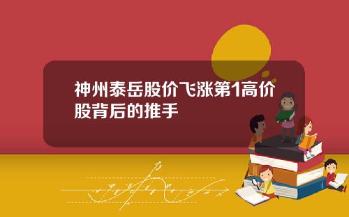 神州泰岳股价飞涨第1高价股背后的推手