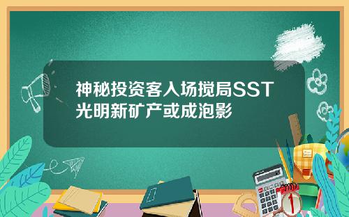 神秘投资客入场搅局SST光明新矿产或成泡影