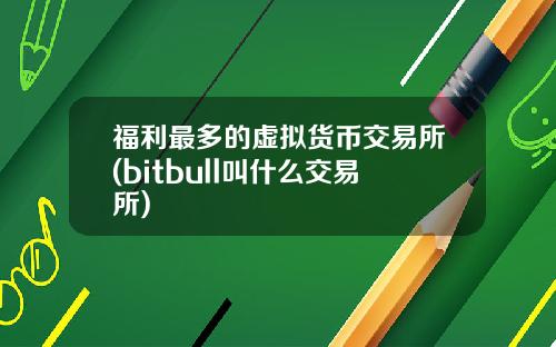 福利最多的虚拟货币交易所(bitbull叫什么交易所)