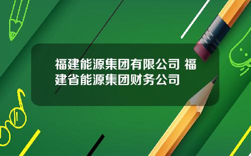 福建能源集团有限公司 福建省能源集团财务公司