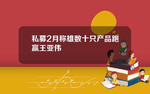 私募2月称雄数十只产品跑赢王亚伟