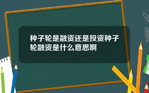 种子轮是融资还是投资种子轮融资是什么意思啊