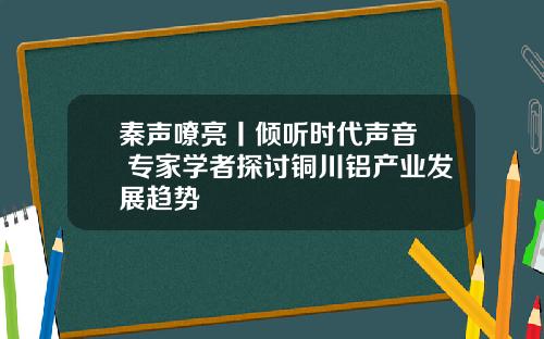 秦声嘹亮丨倾听时代声音  专家学者探讨铜川铝产业发展趋势