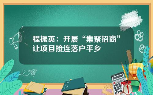 程振英：开展“集聚招商”让项目接连落户平乡