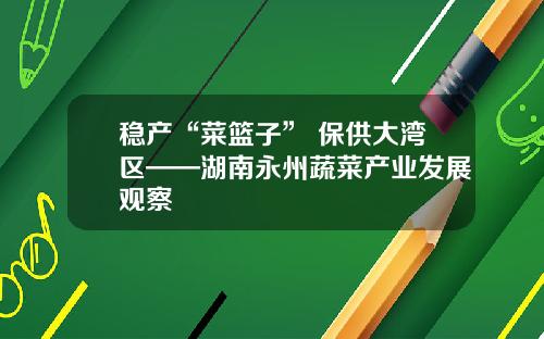 稳产“菜篮子” 保供大湾区——湖南永州蔬菜产业发展观察