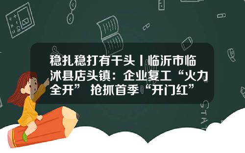稳扎稳打有干头丨临沂市临沭县店头镇：企业复工“火力全开” 抢抓首季“开门红”