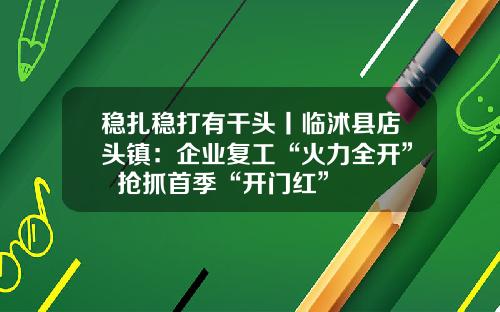 稳扎稳打有干头丨临沭县店头镇：企业复工“火力全开”  抢抓首季“开门红”