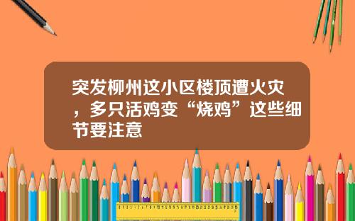 突发柳州这小区楼顶遭火灾，多只活鸡变“烧鸡”这些细节要注意