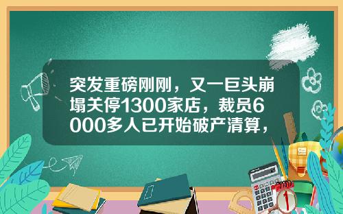 突发重磅刚刚，又一巨头崩塌关停1300家店，裁员6000多人已开始破产清算，网友评论扎心了…