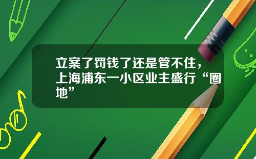 立案了罚钱了还是管不住，上海浦东一小区业主盛行“圈地”