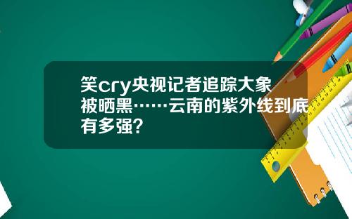 笑cry央视记者追踪大象被晒黑……云南的紫外线到底有多强？