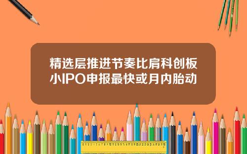 精选层推进节奏比肩科创板小IPO申报最快或月内胎动