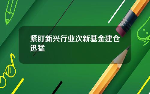 紧盯新兴行业次新基金建仓迅猛