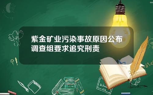 紫金矿业污染事故原因公布调查组要求追究刑责