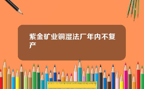 紫金矿业铜湿法厂年内不复产