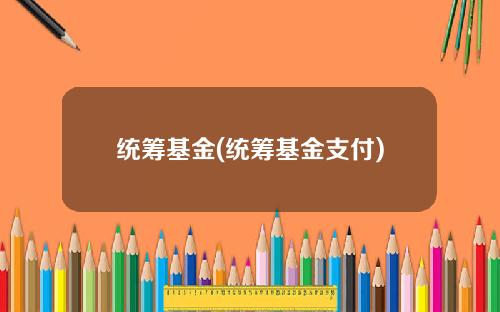 统筹基金(统筹基金支付)