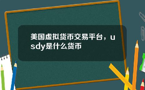 美国虚拟货币交易平台，usdy是什么货币