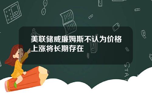 美联储威廉姆斯不认为价格上涨将长期存在