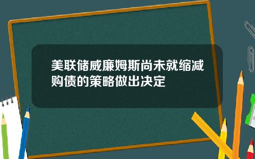 美联储威廉姆斯尚未就缩减购债的策略做出决定