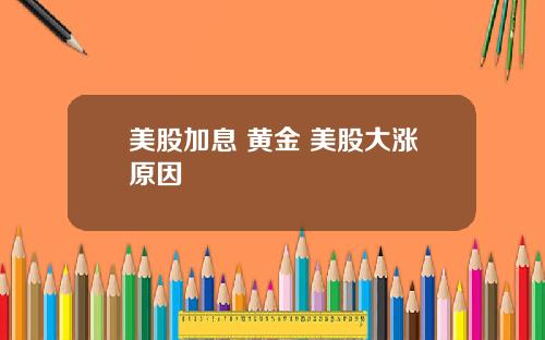 美股加息 黄金 美股大涨原因