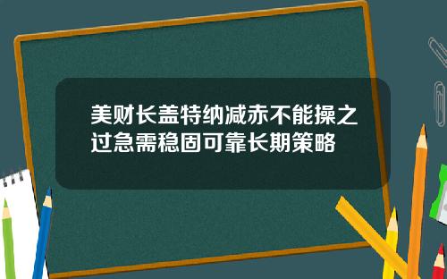美财长盖特纳减赤不能操之过急需稳固可靠长期策略
