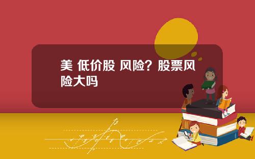 美 低价股 风险？股票风险大吗