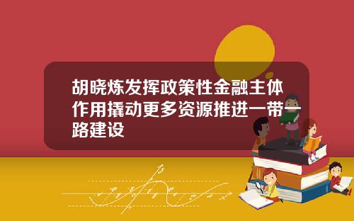 胡晓炼发挥政策性金融主体作用撬动更多资源推进一带一路建设