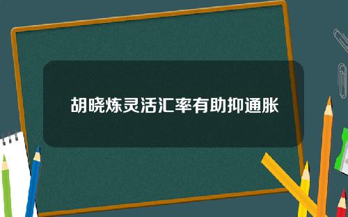 胡晓炼灵活汇率有助抑通胀