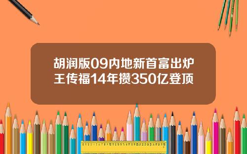 胡润版09内地新首富出炉王传福14年攒350亿登顶
