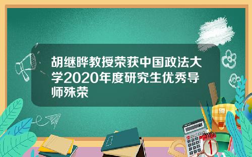 胡继晔教授荣获中国政法大学2020年度研究生优秀导师殊荣