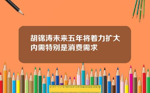 胡锦涛未来五年将着力扩大内需特别是消费需求