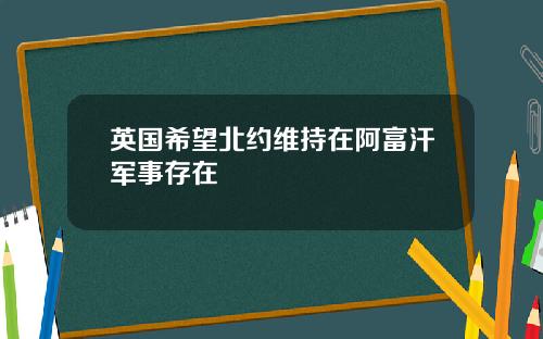 英国希望北约维持在阿富汗军事存在