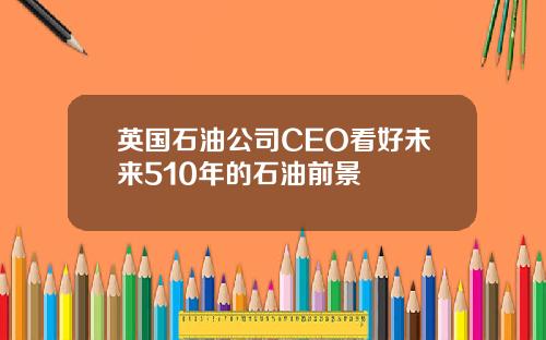 英国石油公司CEO看好未来510年的石油前景