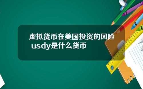 虚拟货币在美国投资的风险 usdy是什么货币
