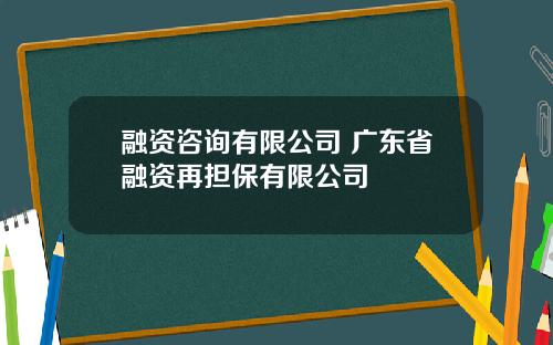 融资咨询有限公司 广东省融资再担保有限公司
